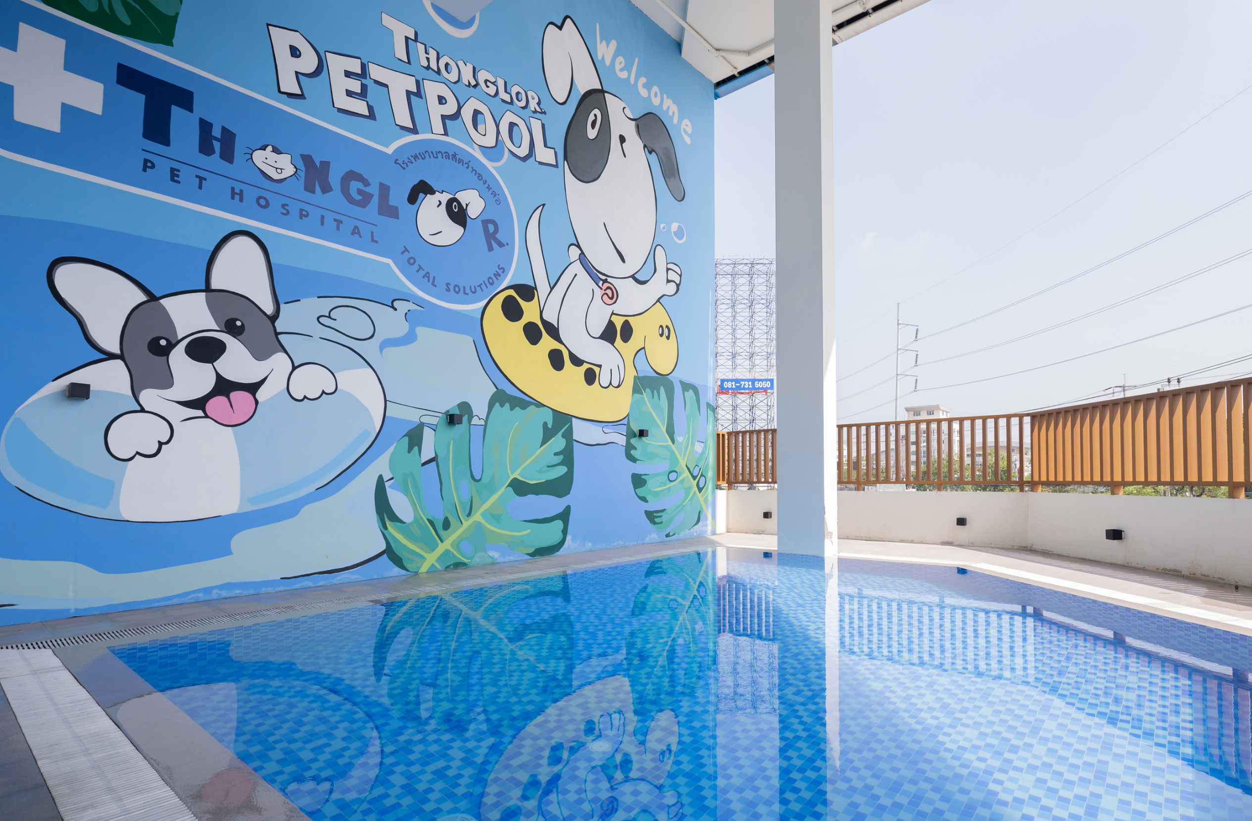 Thonglor Pet Hospital